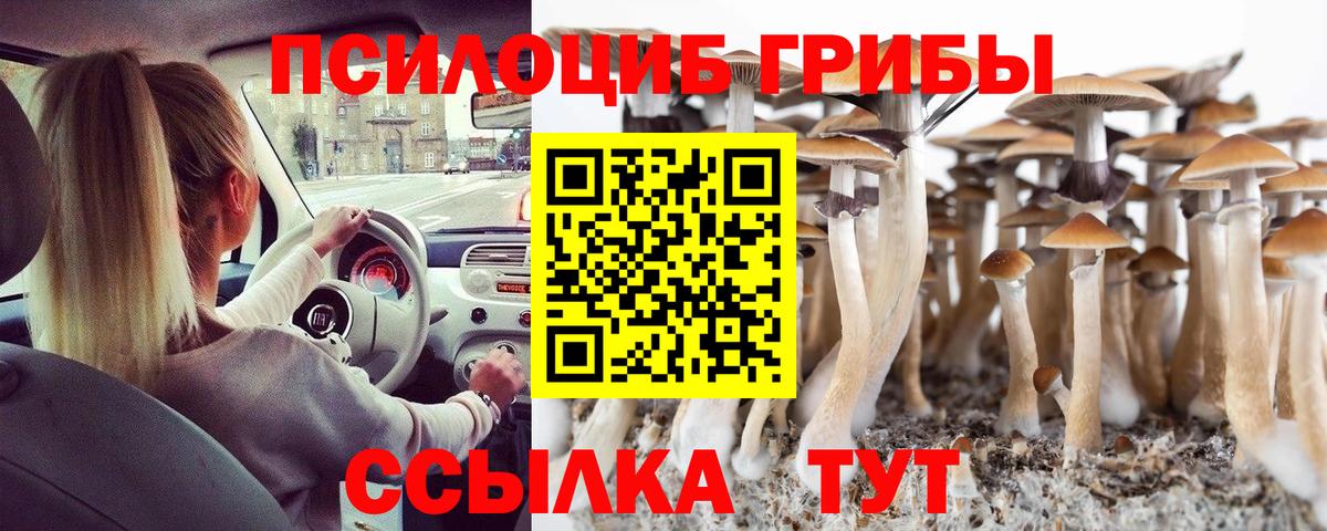 Галлюциногенные грибы ЛСД Михайловск