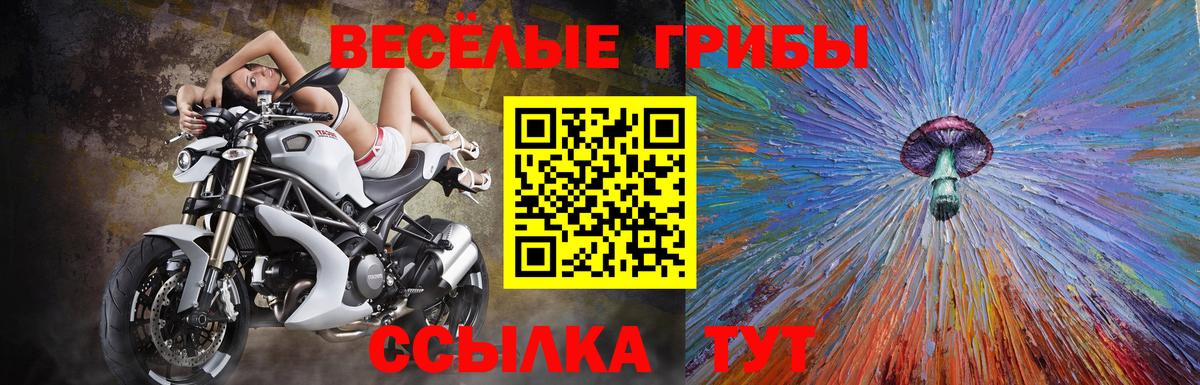 Псилоцибиновые грибы мухоморы  Вход с VPN  Михайловск 